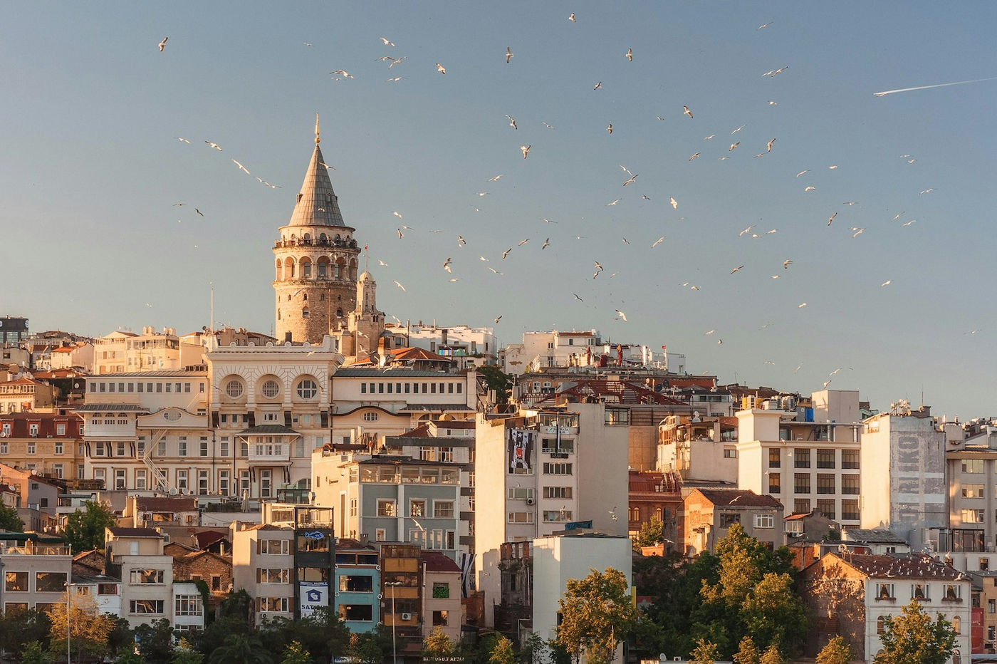 The Galata Tower rising above the dense rooftops of Beyoglu, Istanbul
