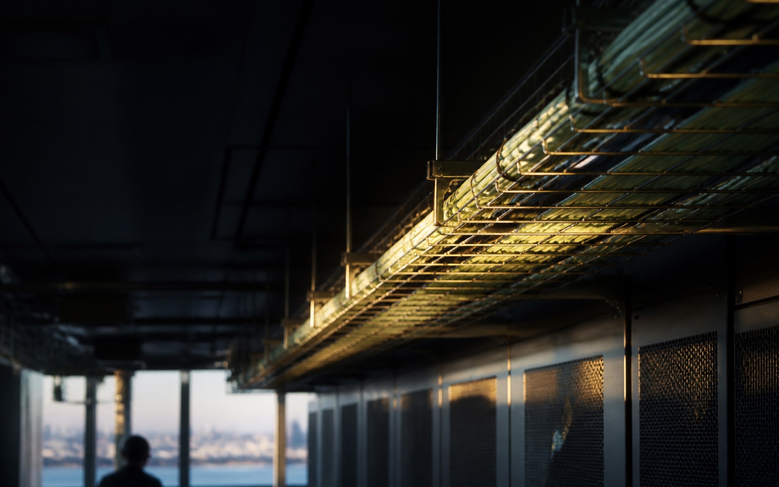Fibre-optic cabling running along a ceiling tray, lit from one side